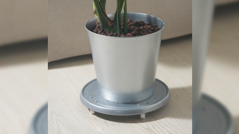 IKEA'nın ÅKERBÄR fabrikası tekerlekler üzerinde duruyor, içinde bir bitki yetişen tekerlekler üzerinde çelik dairesel bir stand