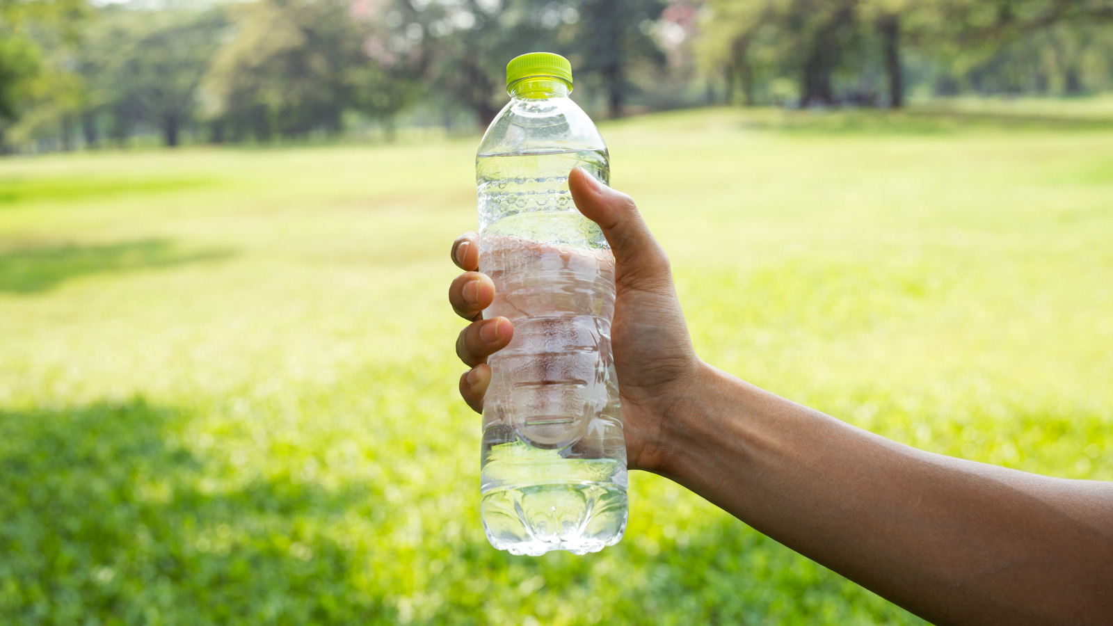 Zekice Bir Kendin Yap Yöntemiyle Sinir bozucu Bahçe Böceklerini Uzak Tutmak İçin Plastik Şişe Kullanın
