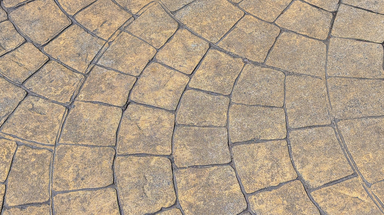 Avrupa'da hayran damgalı beton araba yolu.