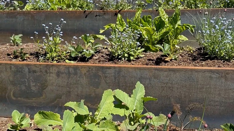 Teraslama için Corten çelik istinat duvarları