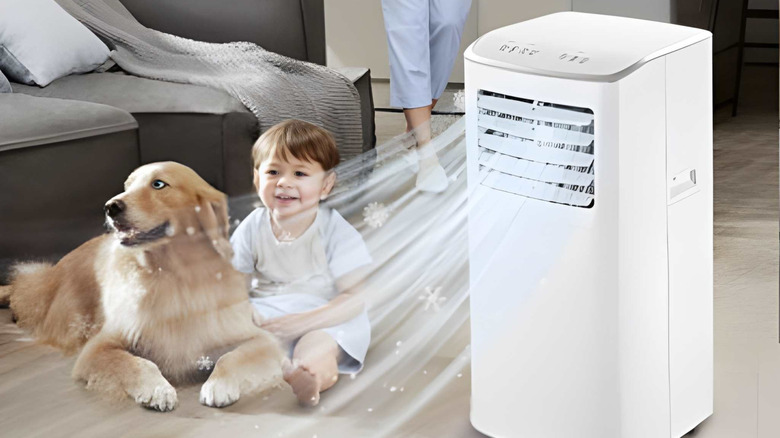 Coolblus Portatif Klima çocuk ve köpeği serinletmek için kullanılıyor