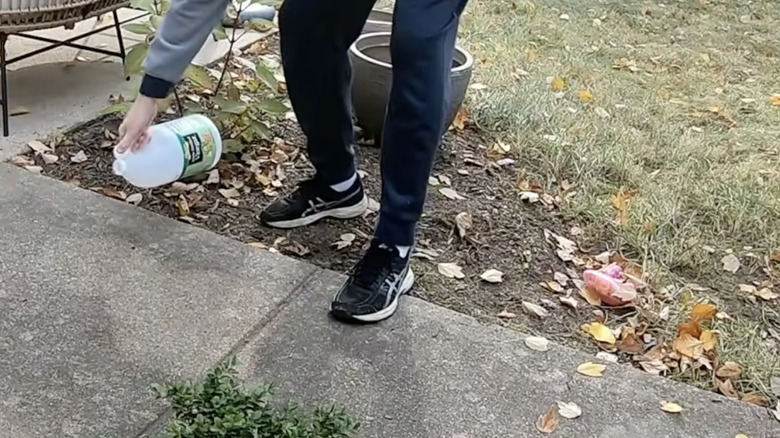 Bir kişi sirkeyi şişeden beton bir garaj yoluna döküyor.
