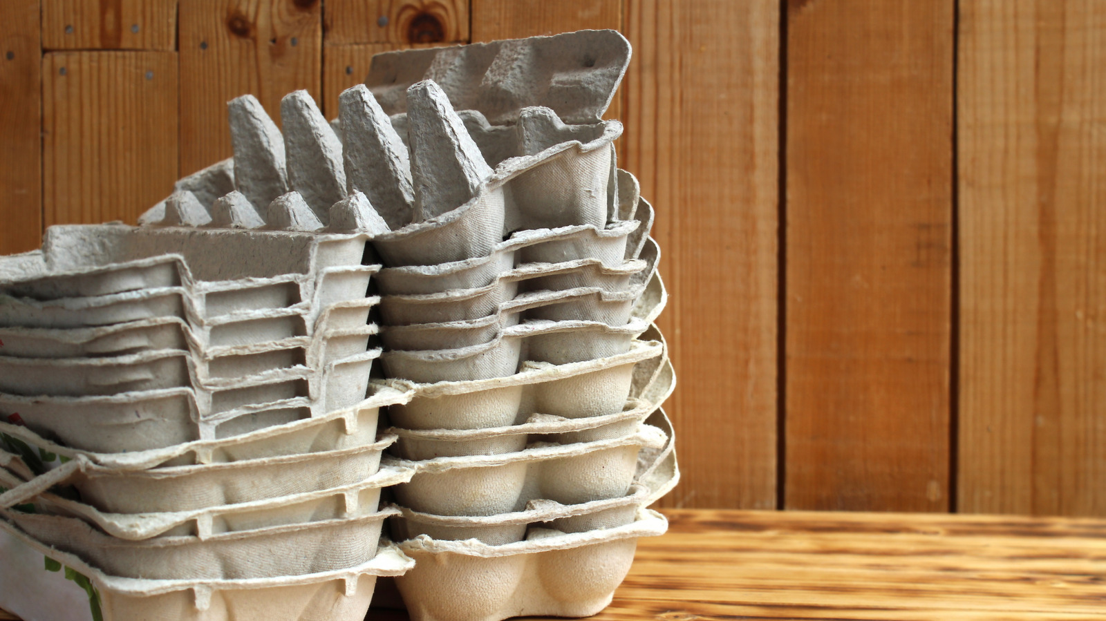 Bahçenizi Aydınlatacak Bilgili Bir DIY İçin Eski Yumurta Kartonlarını Kullanın