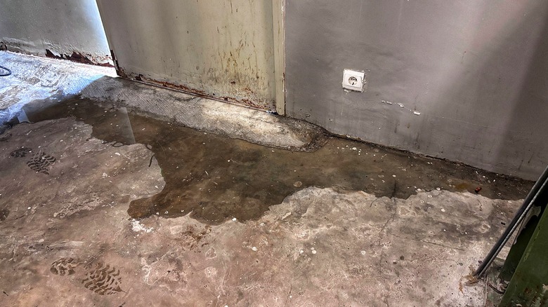 Su basmış beton zeminli duvar kenarı