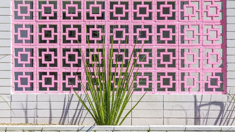 Yucca bitkilerinin arkasında pembe bir esinti bloğu duvarı