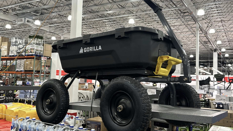 Costco'da Goril Çöp Arabası