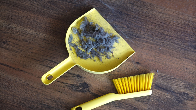 Sarı plastik bir faraşın içindeki ev tozu ahşap bir zeminde duruyor ve yanında sarı bir fırça var.