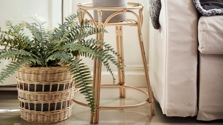 IKEA TOLKNING rattan bitki standı, tabanı sepetten ayrı ve her bir bitkiyi tutan