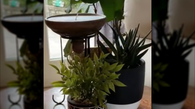 İleri dönüştürülmüş seramik kavanoz kapağından yapılmış bir mum ve saksı ev bitkilerinin arasındaki bir yan sehpanın üzerine yerleştirilmiş metal bir tripod standı.