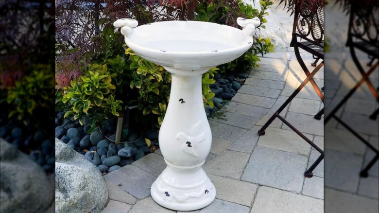 Bazı bitkilerin yanındaki taş verandada beyaz ev deposu seramik kuş banyosu