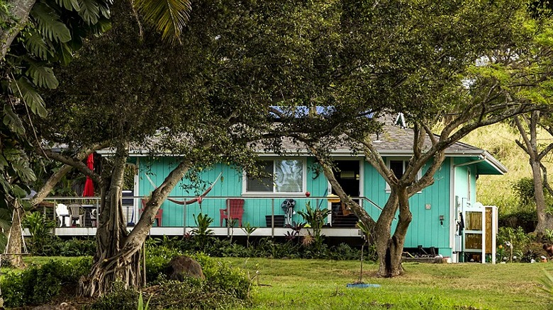 Açık mavi bir Hawaii evi ağaçlarla çevrilidir
