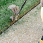Peyzaj ve Araba Yolu Kenarlarını Kolaylaştıracak Amazon Bulgusu
