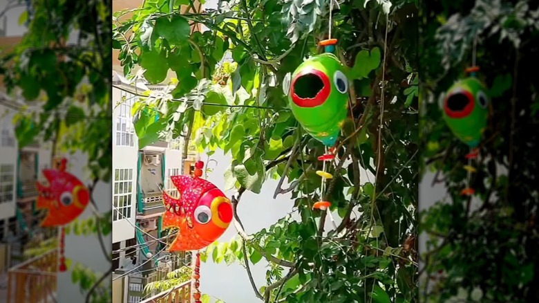 Plastik şişelerden yapılan kırmızı, turuncu ve yeşile boyalı balıklar iplerle ağaç dallarına asılıyor.