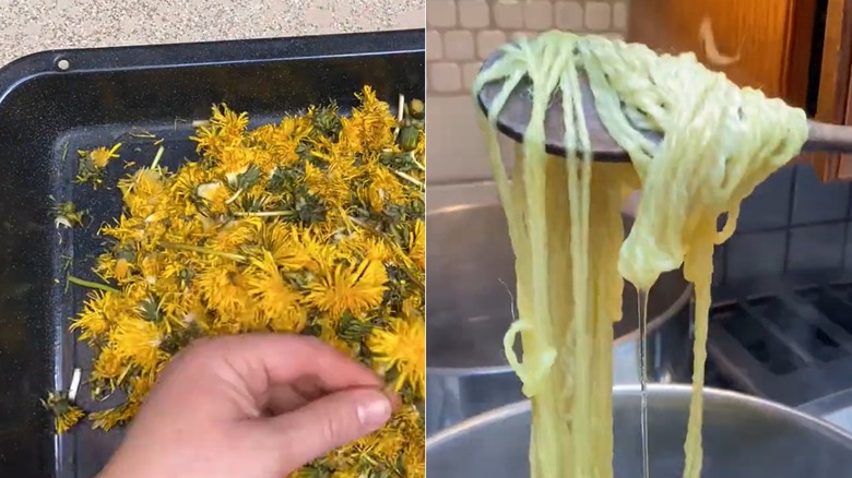 Karahindiba kullanılarak sarıya boyanmış doğal iplik