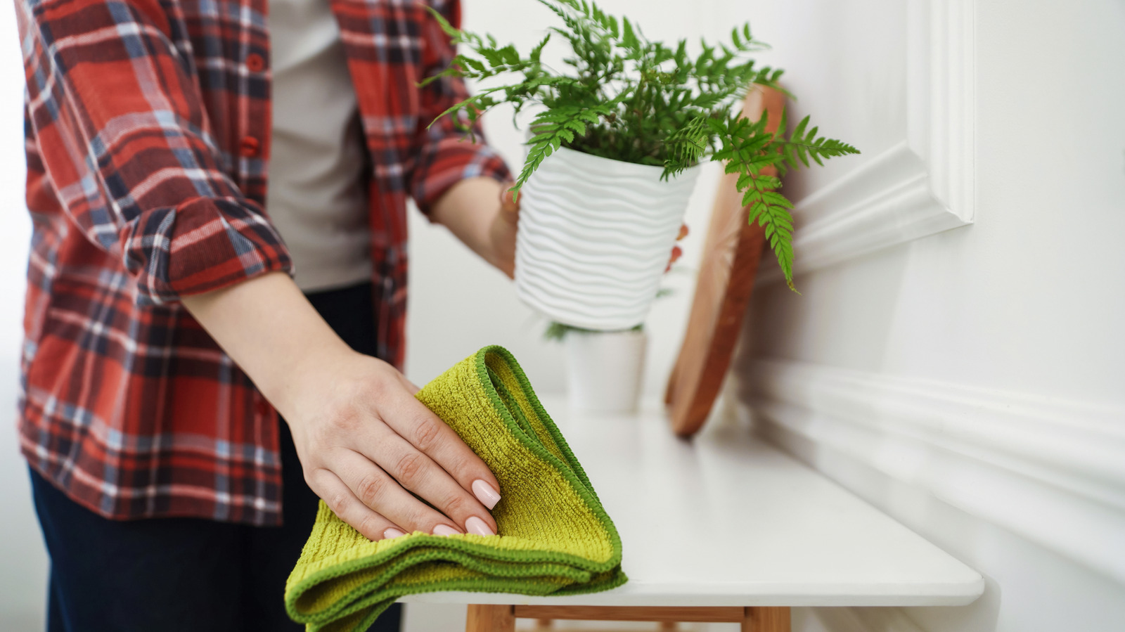 Dağınıklığı Giderin: Bu Banyo Zımbasını Kapalı Saksı Bitkilerinizin Altında Kullanın