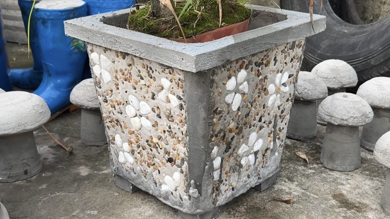 çakıl taşlarıyla süslenmiş bir DIY çimento ekici.