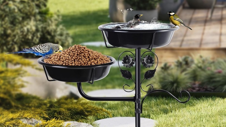 Lounginglife metal kuş banyosu ve besleyici Amazon'da mevcut