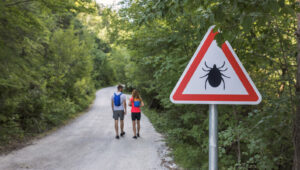 Güçlü, Kimyasal Bir Çözümle Keneler Nasıl Kovulur?