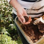 DIY Gübre İçin Kahve Telvesi Yerine Bu Sağlıklı Mutfak Hurdasını Kullanın