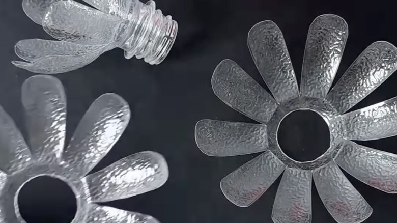 Birleştirilmemiş su şişesi lotus çiçeğinin üç ayrı katmanı
