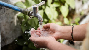İçerideki Kiri Takip Etmeyi Durdurun: Dış Mekanda Yükseltme İçin Bu Banyo Zımbasını Kullanın