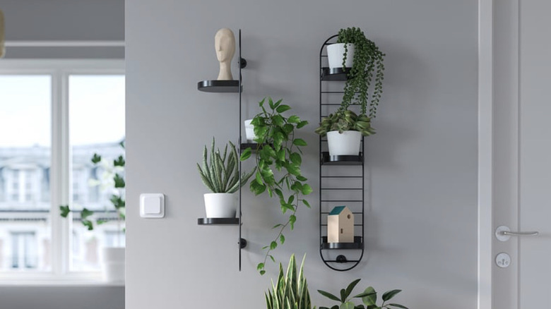 Duvardaki bitkilerle IKEA SKUGGRÖNA