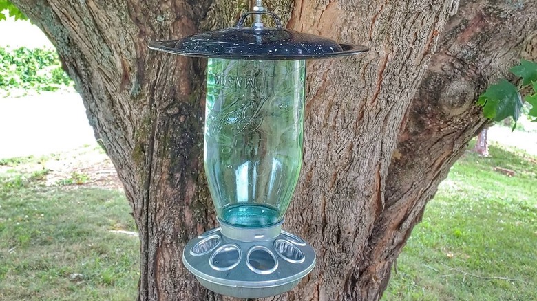 Arka bahçedeki büyük bir ağaç gövdesinin önünde asılı duran DIY Mason kavanozu kuş besleyici.
