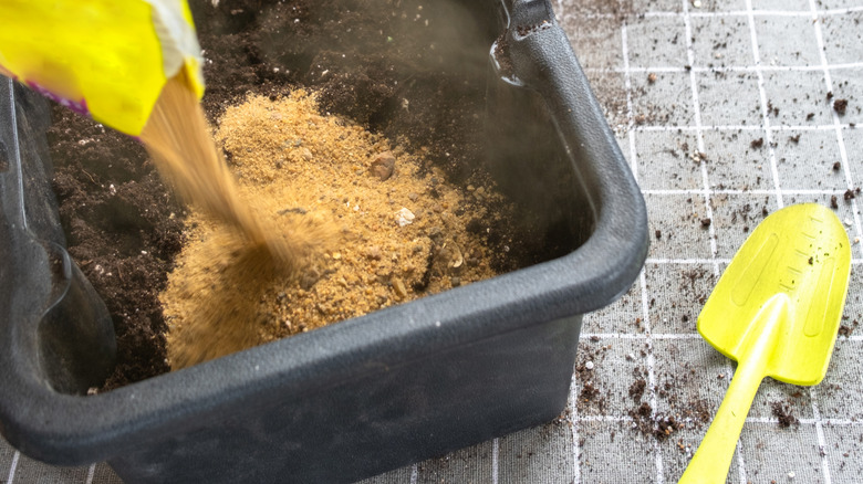 Bir kişi, yakınında sarı bir bahçe malası bulunan dikdörtgen siyah plastik bir saksıdaki saksı karışımının üzerine bahçecilik kumu döküyor.