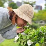 Gardenya Yaprakları Neden Sararır?