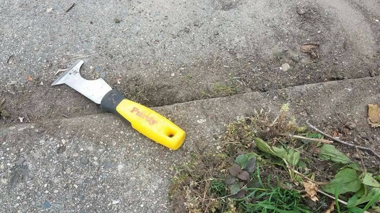 Kaldırımda yabani otların yanında sarı saplı bir boya kazıyıcı duruyor.