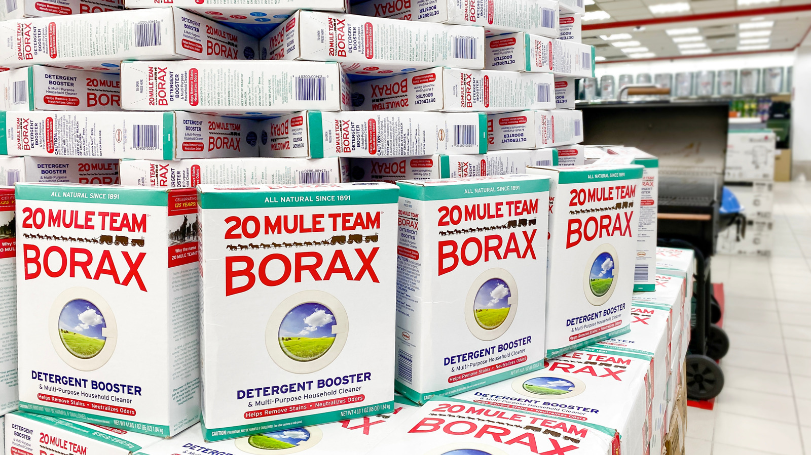 Boraks ve Borik Asit: Bir Fark Var mı?