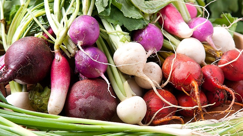 Pancar, turp, daikon ve şalgam yenilebilir üst kısımlarıyla birlikte bir sepete yığılır