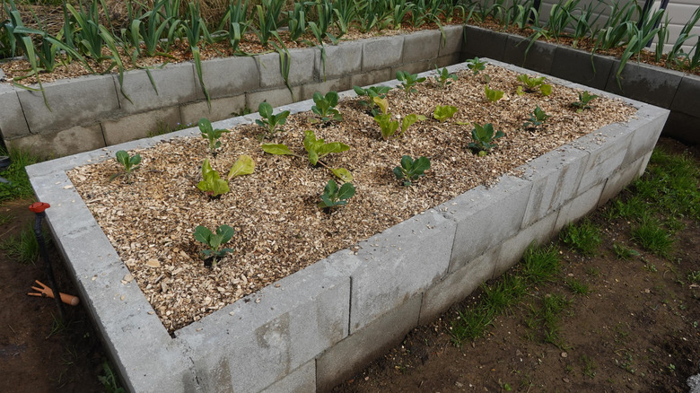 Beton bloklardan yapılmış büyük ekici