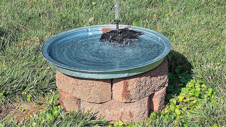DIY kuş banyosunun son görünümü