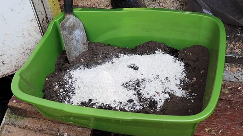 DIY tavuk tozu banyosunun gösterimi