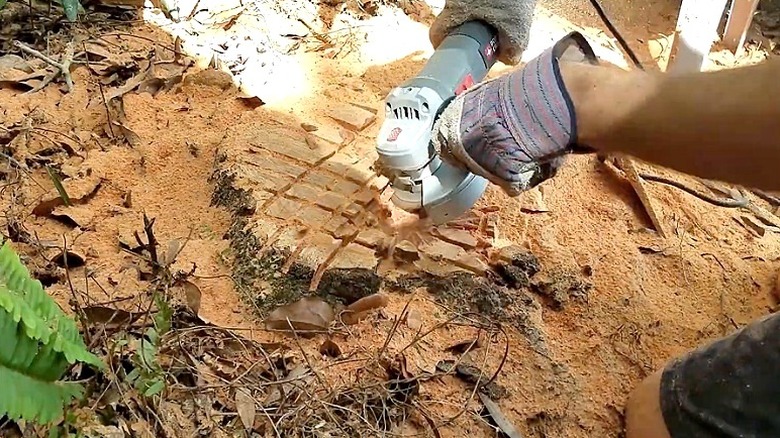 Bir kişi yerdeki ağaç kütüğünü oymak için açılı taşlama makinesi kullanıyor