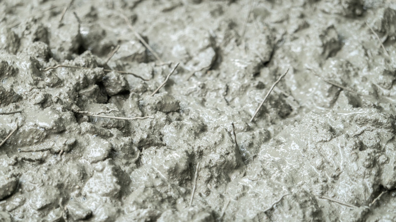 Çelik fiber takviyesini gösteren ıslak beton karışımı