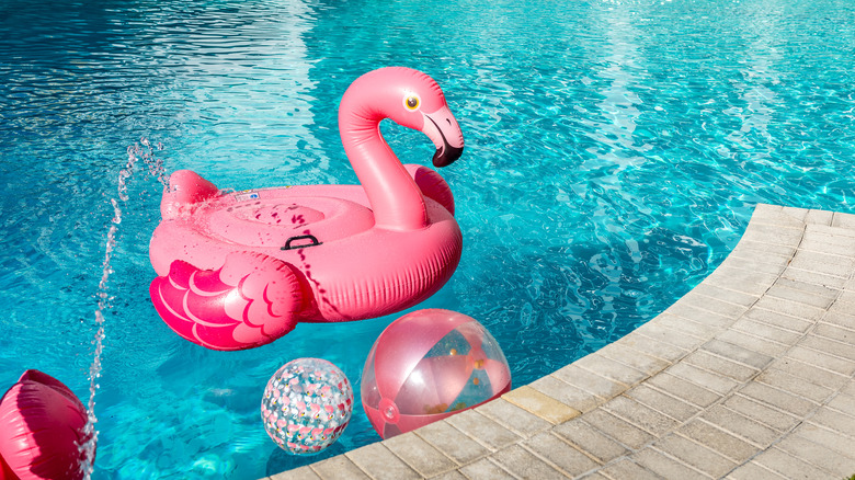 Havuzda şişme flamingo