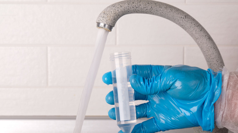 mavi eldivenli kişi, küçük şeffaf bir test tüpünde musluktan su örneği topluyor