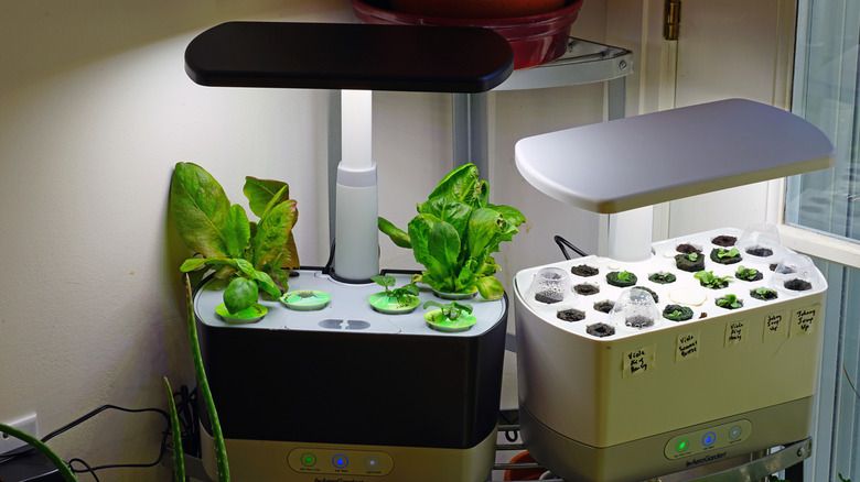 AeroGarden'ın ışıkları açık ve içlerinde bitkiler büyümeye başlayan kapalı bahçenin iki versiyonu