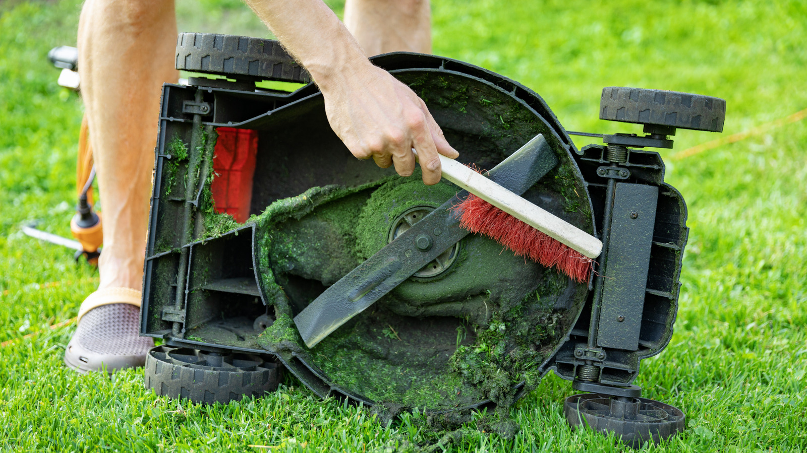 Çim Biçme Makinesi Bıçaklarınıza Çimlerin Yapışmasını Nasıl Önlersiniz (WD-40 Değil)