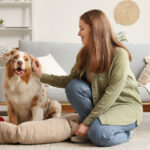 Ev Sahibi Sigortası Neden Köpekleri Soruyor?
