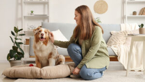 Ev Sahibi Sigortası Neden Köpekleri Soruyor?