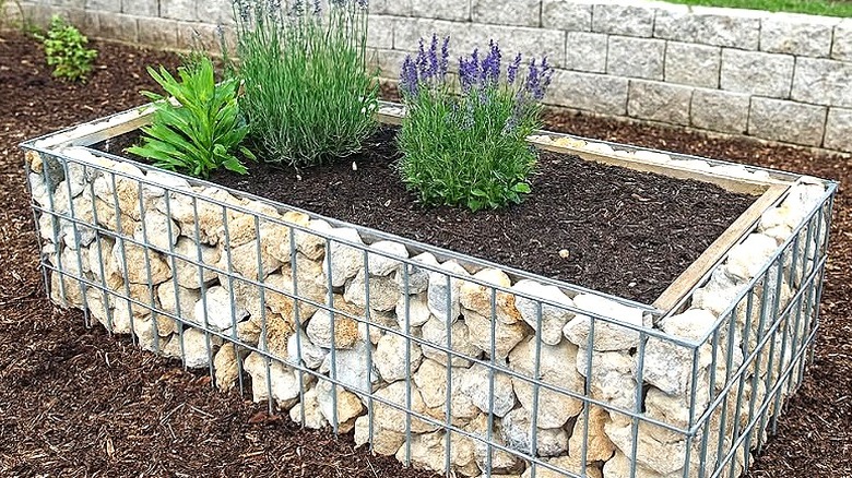 Gabion taşı yükseltilmiş yatak