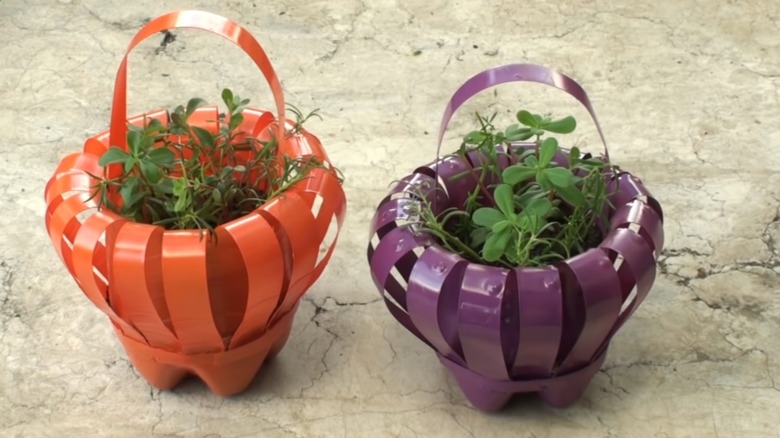 Turuncu ve mor boyalı plastik su şişelerinden yapılmış çiçek sepetleri, küçük yeşillik demetlerini barındırıyor.