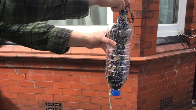 Erkek eller plastik şişe tutucusunun içine ıslak bir şemsiye yerleştiriyor.