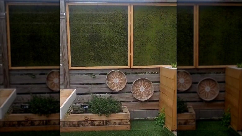 Ahşap ve sahte yosundan yapılmış DIY veranda perdesi.