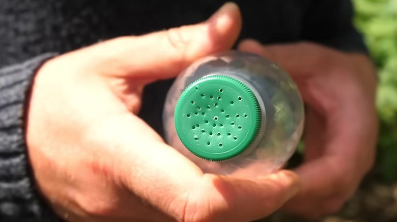 İki el, kapağında çok sayıda küçük delik bulunan plastik bir şişeyi tutuyor.