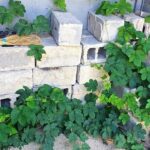 Güvertenizin Altındaki Çirkin Beton Blokları Gizleyin (Depolama Eklerken)