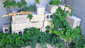 Güvertenizin Altındaki Çirkin Beton Blokları Gizleyin (Depolama Eklerken)